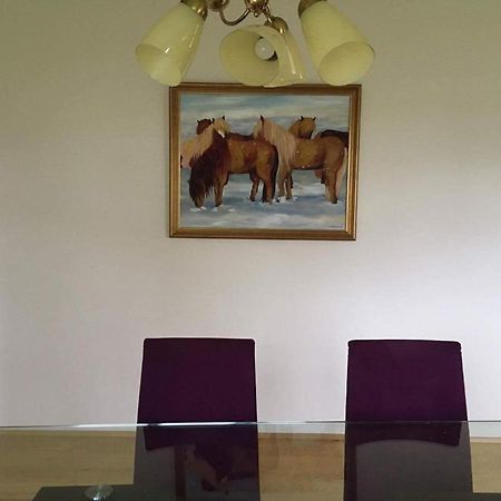 Thorbrandsstadir Farm Holidays Thorbrandsstathir 외부 사진