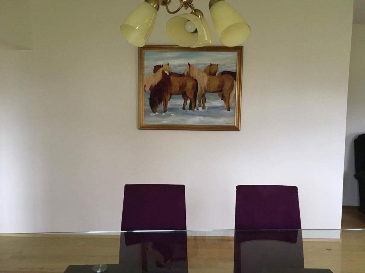 Thorbrandsstadir Farm Holidays Thorbrandsstathir 외부 사진